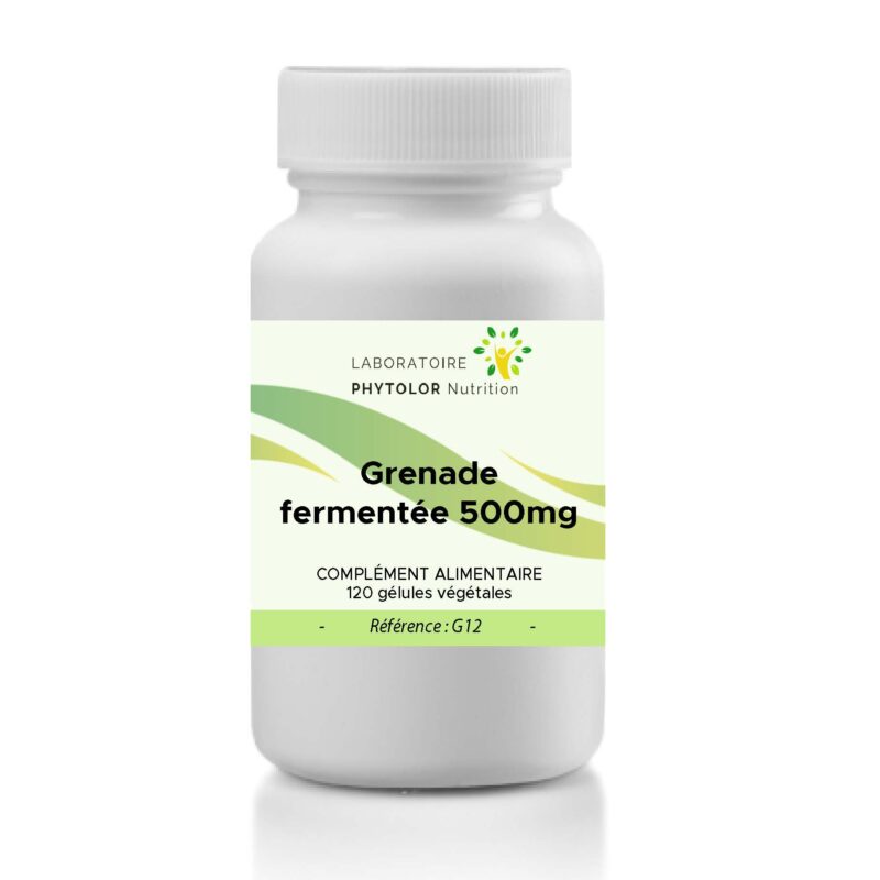 Grenade fermentée g12