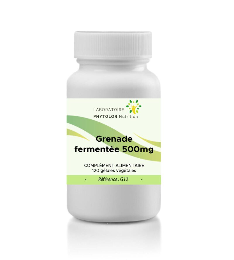 Grenade fermentée g12