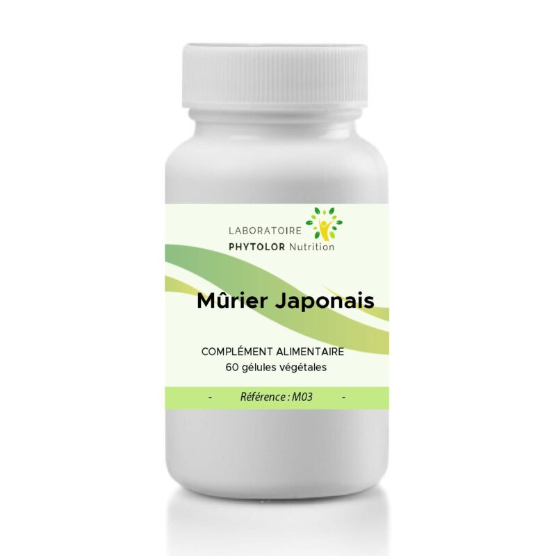Mûrier Japonais M03