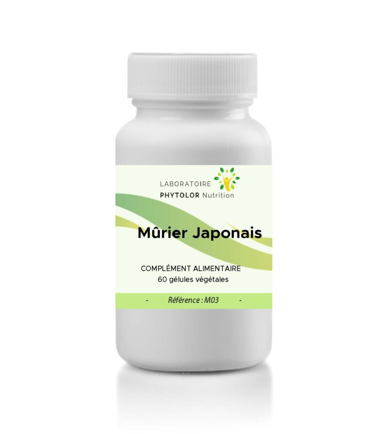 Mûrier Japonais M03
