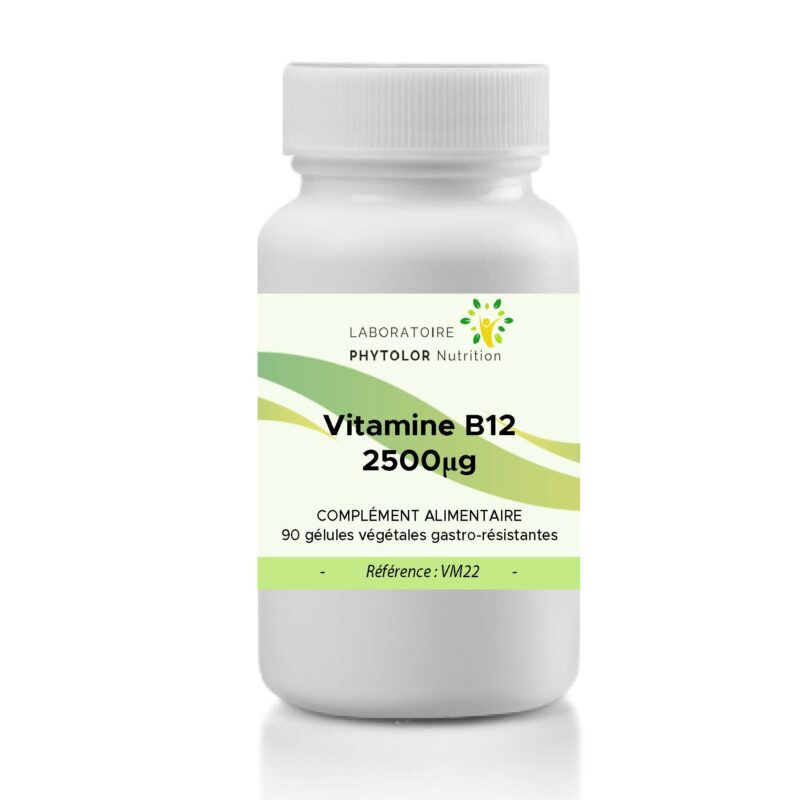 Vitamine B12 VM22